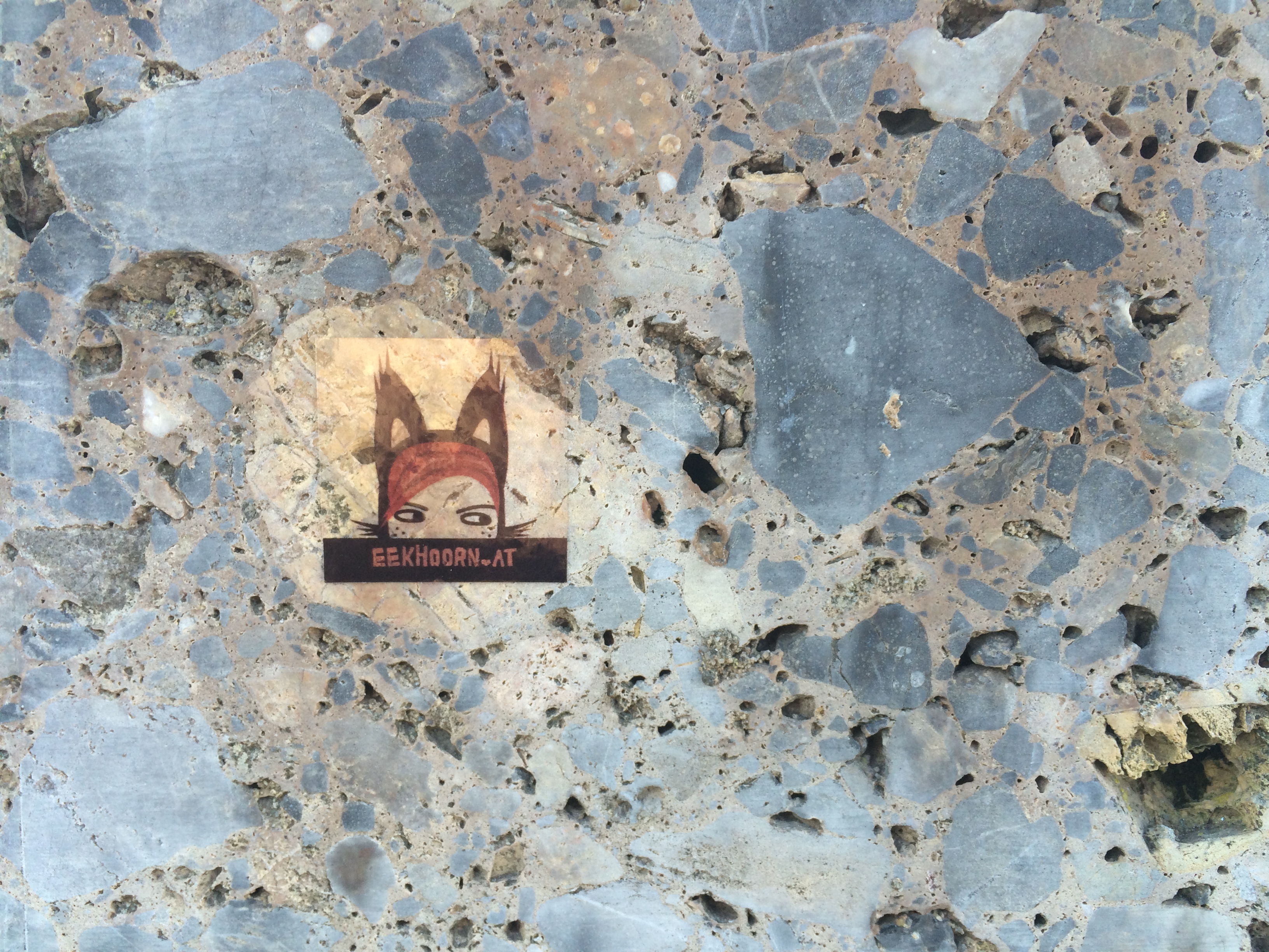 eekhoornsticker
